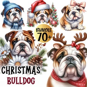 Può includere: Un pacchetto di arte digitale con illustrazioni di bulldog a tema natalizio. I bulldog sono raffigurati con accessori festivi come cappelli di Babbo Natale, corna di renna e berretti invernali. È incluso anche il testo "CHRISTMAS BULLDOG" e "BUNDLE 70+".