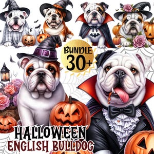 Pacchetto 30+ Clip Art di Bulldog inglese di Halloween, Cucciolo di Bulldog vampiro e stregato in formato PNG, Disegni per sublimazione di Halloween, Download digitale.