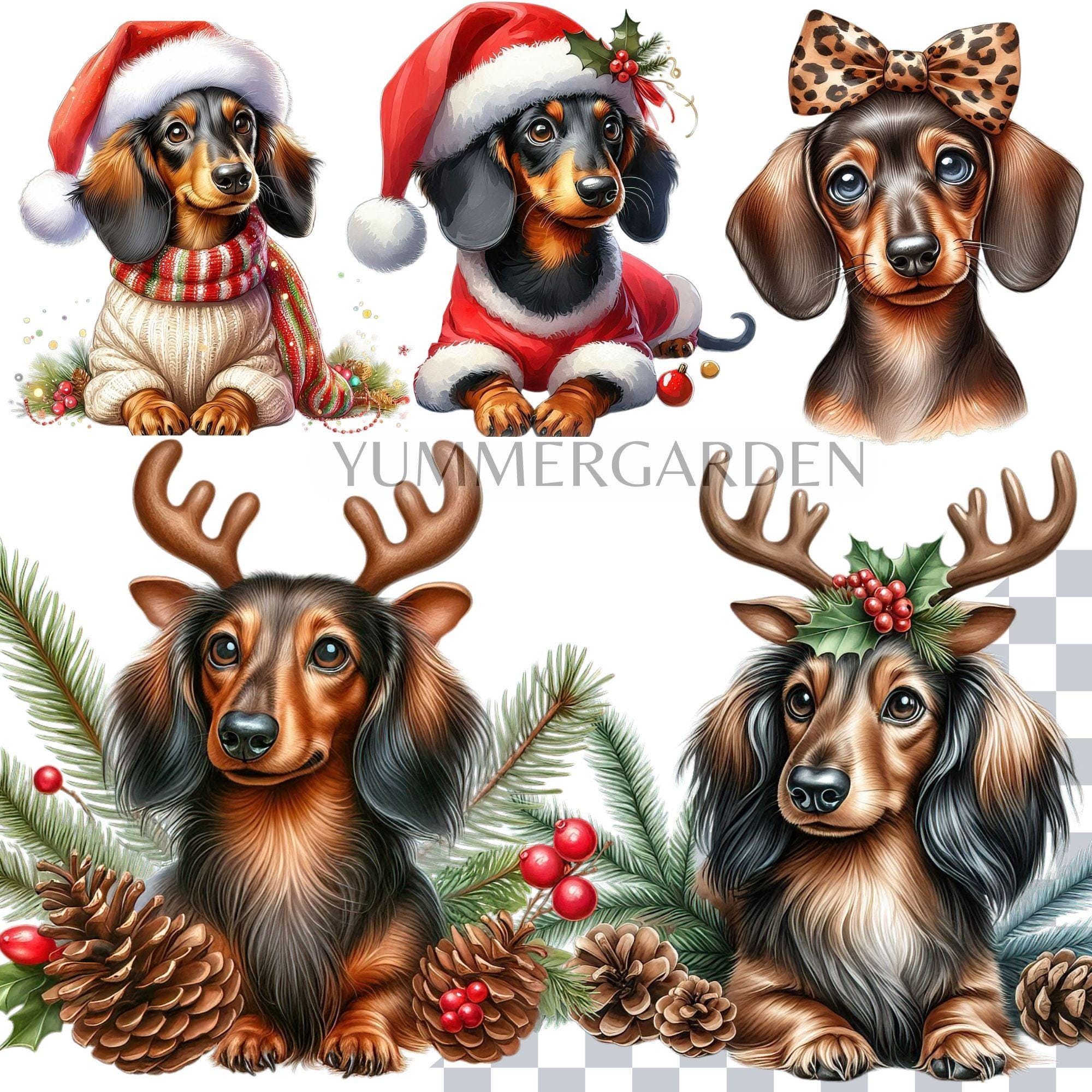 Dachshund Clipart Bundle, Christmas PNG Dog Breed, Sausage Dog Clipart ...