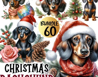 Christmas Dachshund Clipart Bundle, Festive Sausage Dog PNG Set (60 Files)