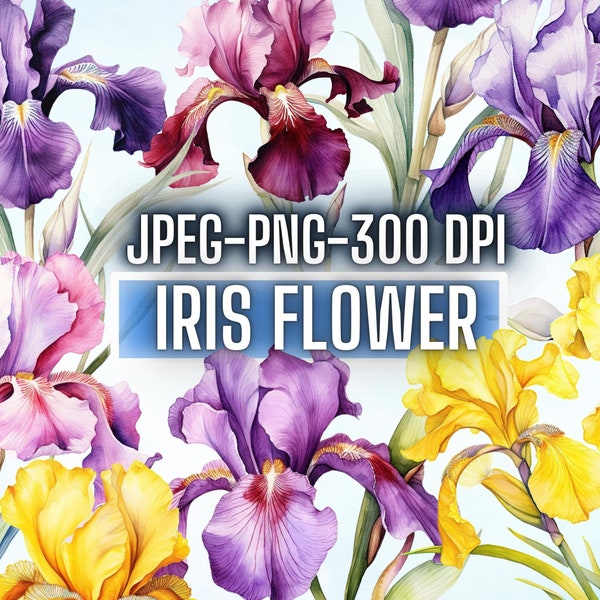 35 Watercolor Iris Flowers Clip Art Bundle, Iris Purple Pink Flower PNG set,Printable Floral Sublimation designs stickers ,Digital Download