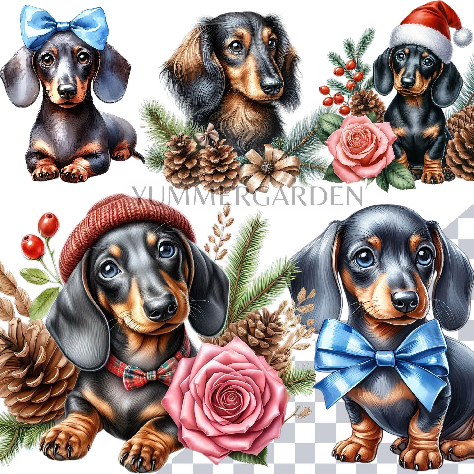 Dachshund Clipart Bundle, Christmas PNG Dog Breed, Sausage Dog Clipart ...