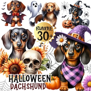 Bundle 30+ Süßer Halloween Dackel Welpe PNG, Sublimationsdateien, Kawaii gruseliger Welpe Wurst Hund Clipart Bundle, Aufkleber, digitaler Download