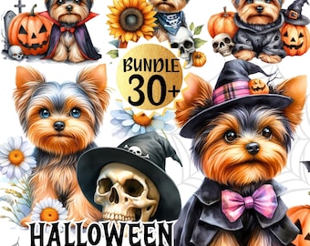 May include: A collection of digital illustrations featuring Yorkshire Terriers in Halloween costumes. The images include pumpkins, witch hats, capes, and the text "Halloween Yorkie" and "Bundle 30+". The dogs are depicted with various accessories.