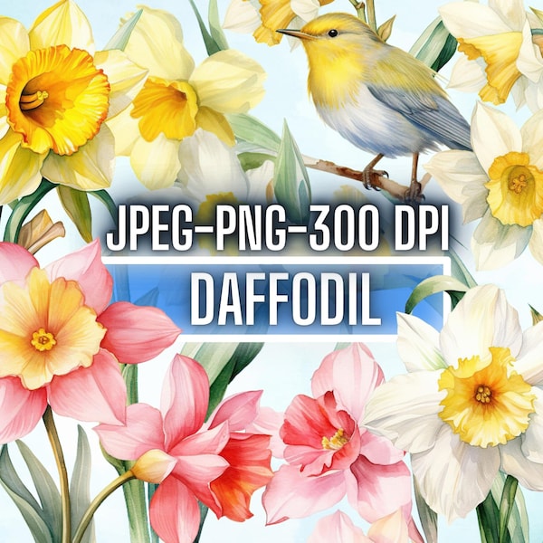 34 Watercolor Daffodil Flowers Clip Art Bundle, Pink Yellow watercolor flower,Scrapbooking stickers, Floral Sublimation png,Digital Download