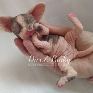 Baby Sphynx kitten full silicone 16cm (6.3 inches)