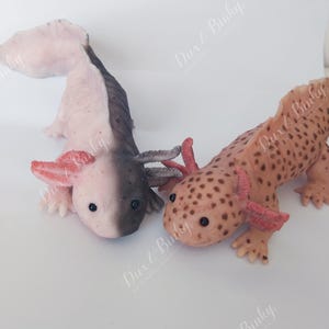 Axolotl, realistic full silicone about 7.5 inches