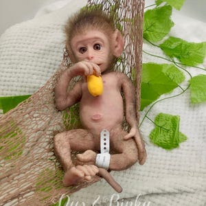 Macaque Monkey Full Silicone +-14" (36cm) with Lifelike Rooted Hair – Friendly and Adorable