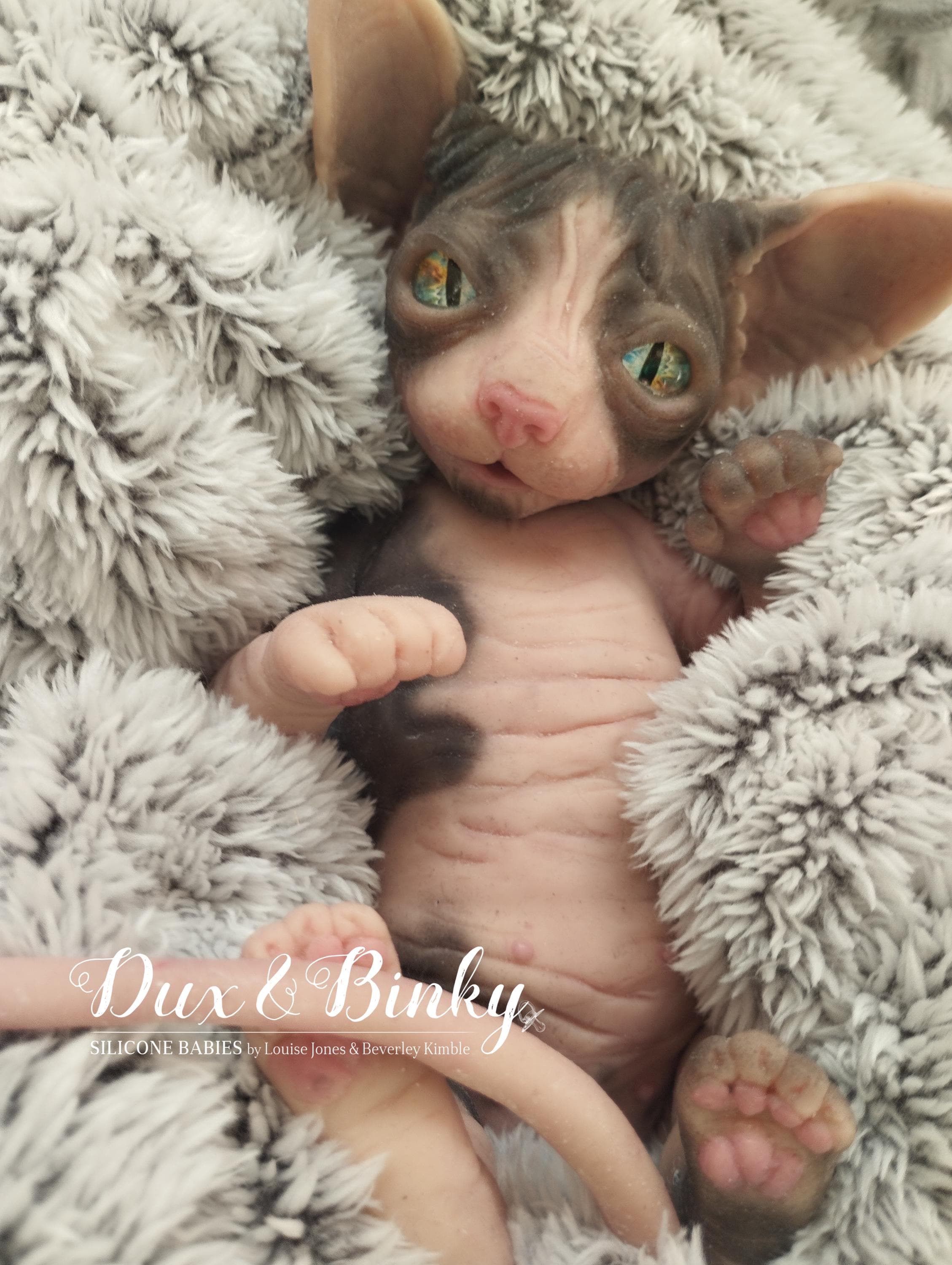 Jade Warner Cat Reborn Gato Egipcio Reborn GATITO REBORN DEL KIT