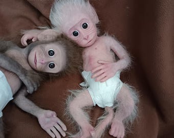 Lifelike Silicone Macaque Monkey Baby Doll: Hand-Rooted Hair, 14"