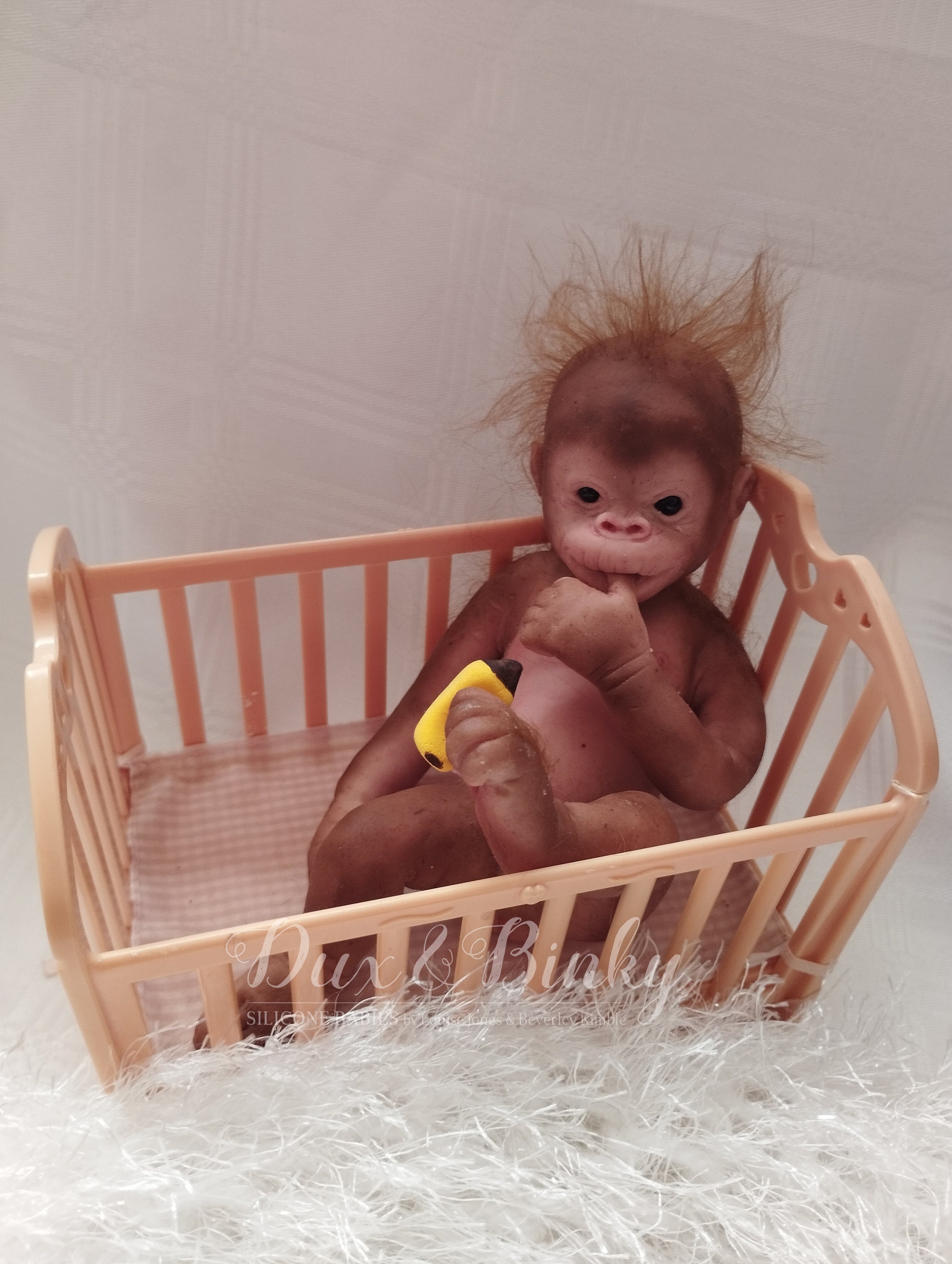 Reborn Orangutan