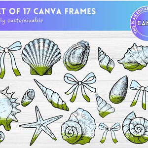 K&ouml;nnte beinhalten: Set von 17 anpassbaren Canva-Rahmen mit handgezeichneten Illustrationen von Muscheln, Seesternen und Schleifen in Blau, Gr&uuml;n und Wei&szlig; auf einem Holzmaserungshintergrund. Der Text "SET OF 17 CANVA FRAMES" und "fully customizable" befindet sich oben im Bild. Der Text "THIS IS AN EDITABLE CANVA FRAME" befindet sich in einem Kreis oben rechts im Bild.