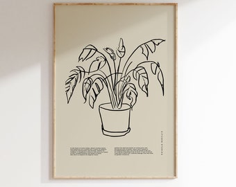 Plant Poster | Art print | Kitchen wall decoration | Dining Room Mural | Botanical Poster | Art Modern | Print Monstera | Gift idea