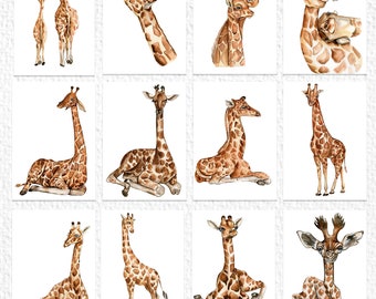 Set of 12 Giraffe animal Post cards card for postcrossing Greetings cards for fun