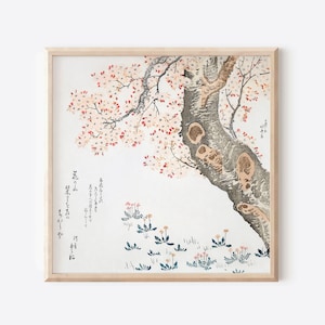 Framed Cherry Blossom Sakura Print Hokusai Cherry Blossom Sakura Woodblock Art Japanese Gallery Ukiyo-e Ready to hang Home Office Decor