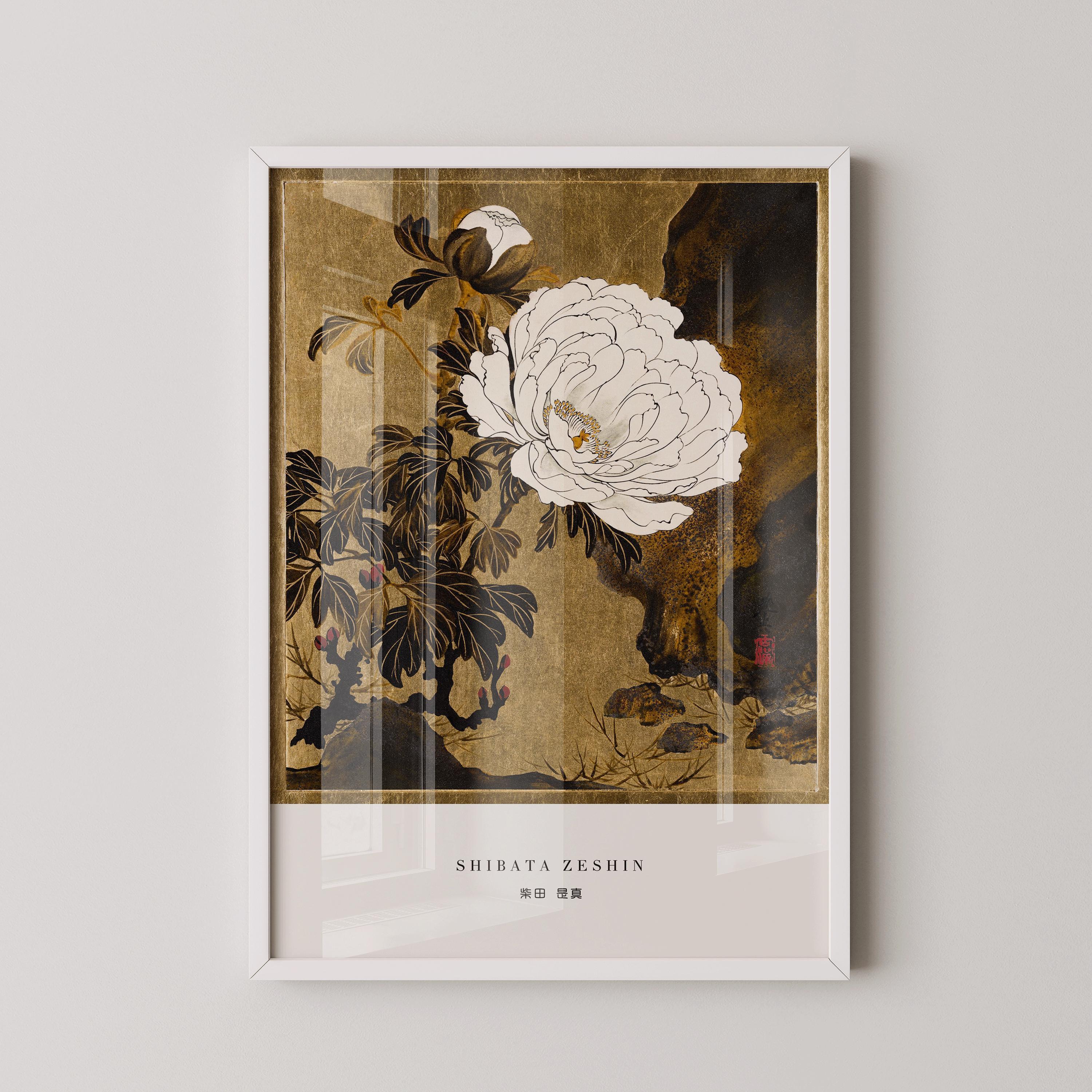 柴田是真「牡丹図版」：日本のヴィンテージ木版画 - Etsy 日本