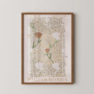 William Morris - Tulpen-Skizze PREMIUM GICLÉE PRINT | "Eines Unserer Schönsten Vintage Poster ""Botanischer Muster"" (handgerahmt erhältlich)"