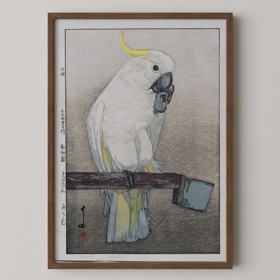 吉田博「キバタンオウム」版画：ヴィンテージの日本木版画 - Etsy 日本