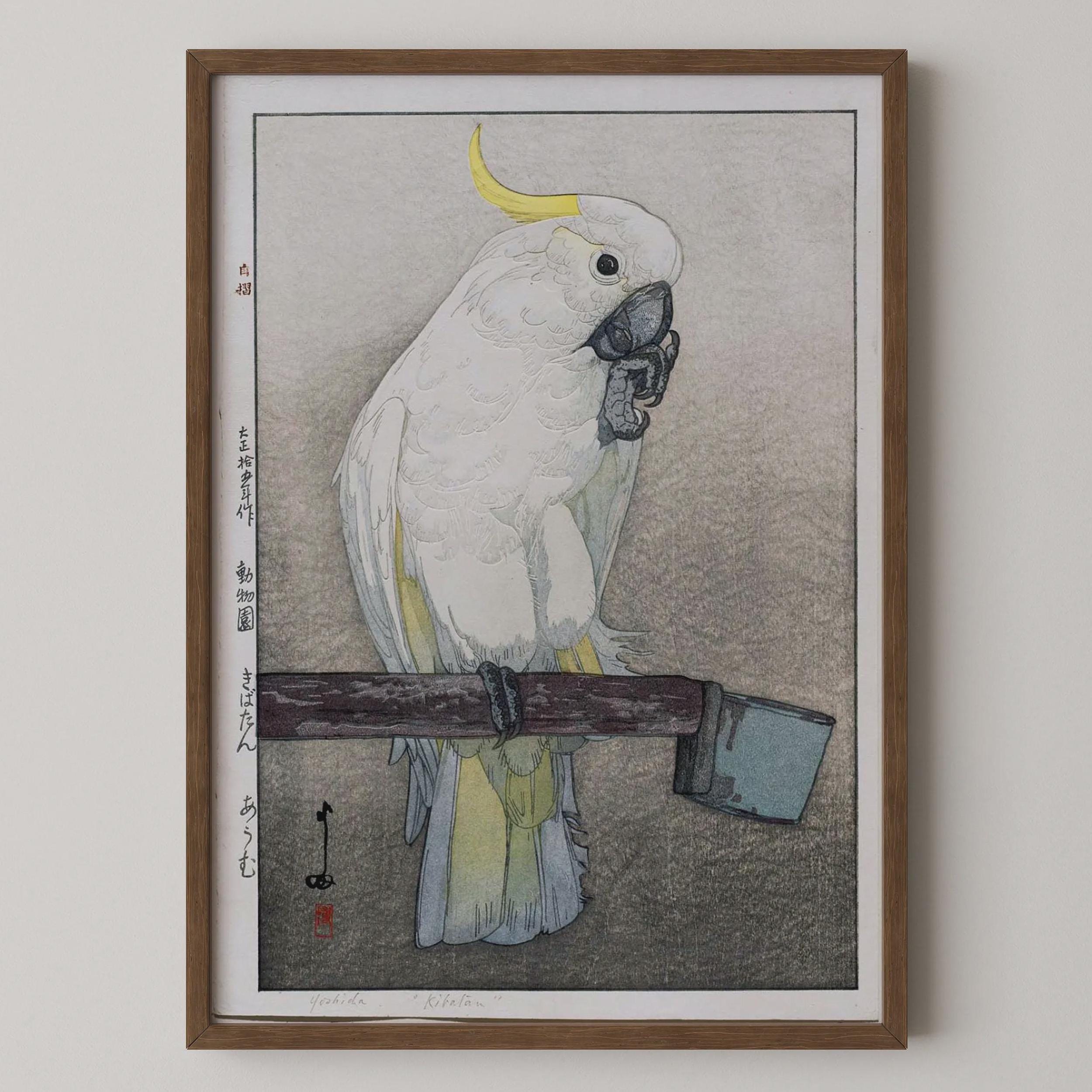吉田博「キバタンオウム」版画：ヴィンテージの日本木版画 - Etsy 日本