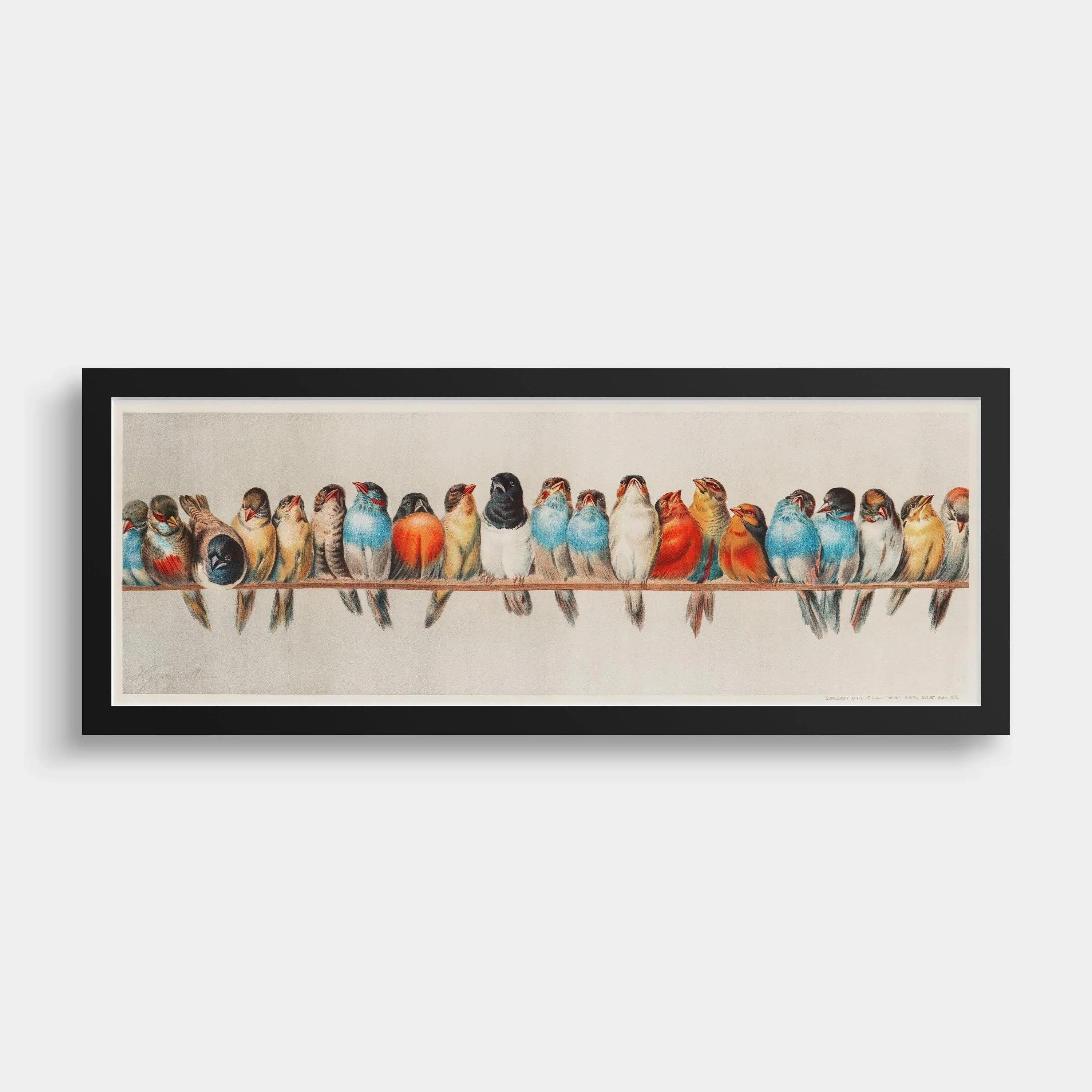 Vintage Bird Print: Colorful Birds on a Wire, Panoramic Artwork - Etsy