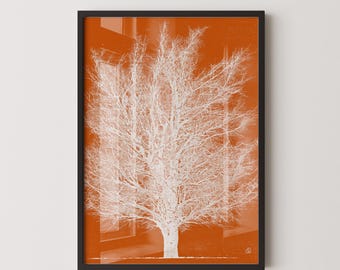 Joichi Hoshi Woodblock 