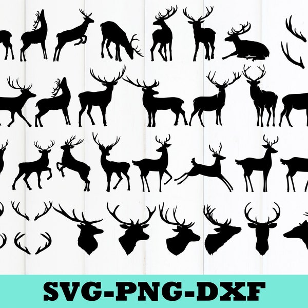 Deer Svg Bundle, Deer Svg, Animal Deer Svg, Baby Deer Svg, Wild Deer Svg, SVG, PNG, DXF