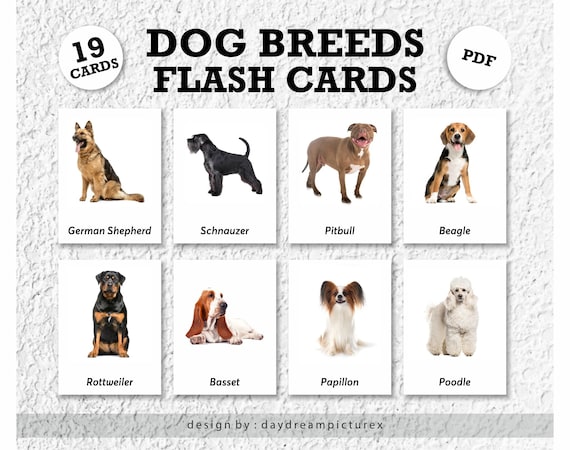 Breed Game Comprehensive Dog Breed Selector How To Figure Out Your