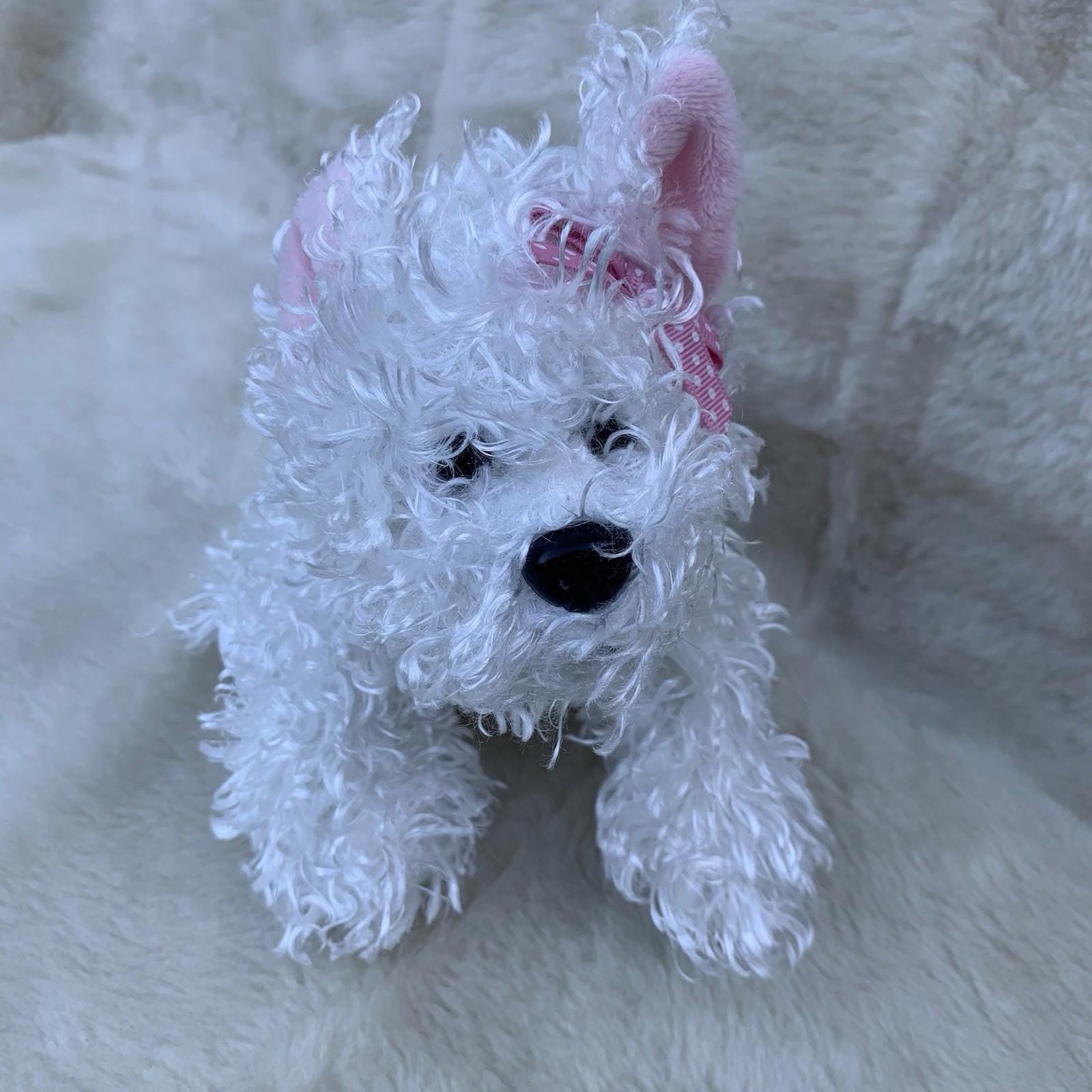 Webkinz Ganz 8