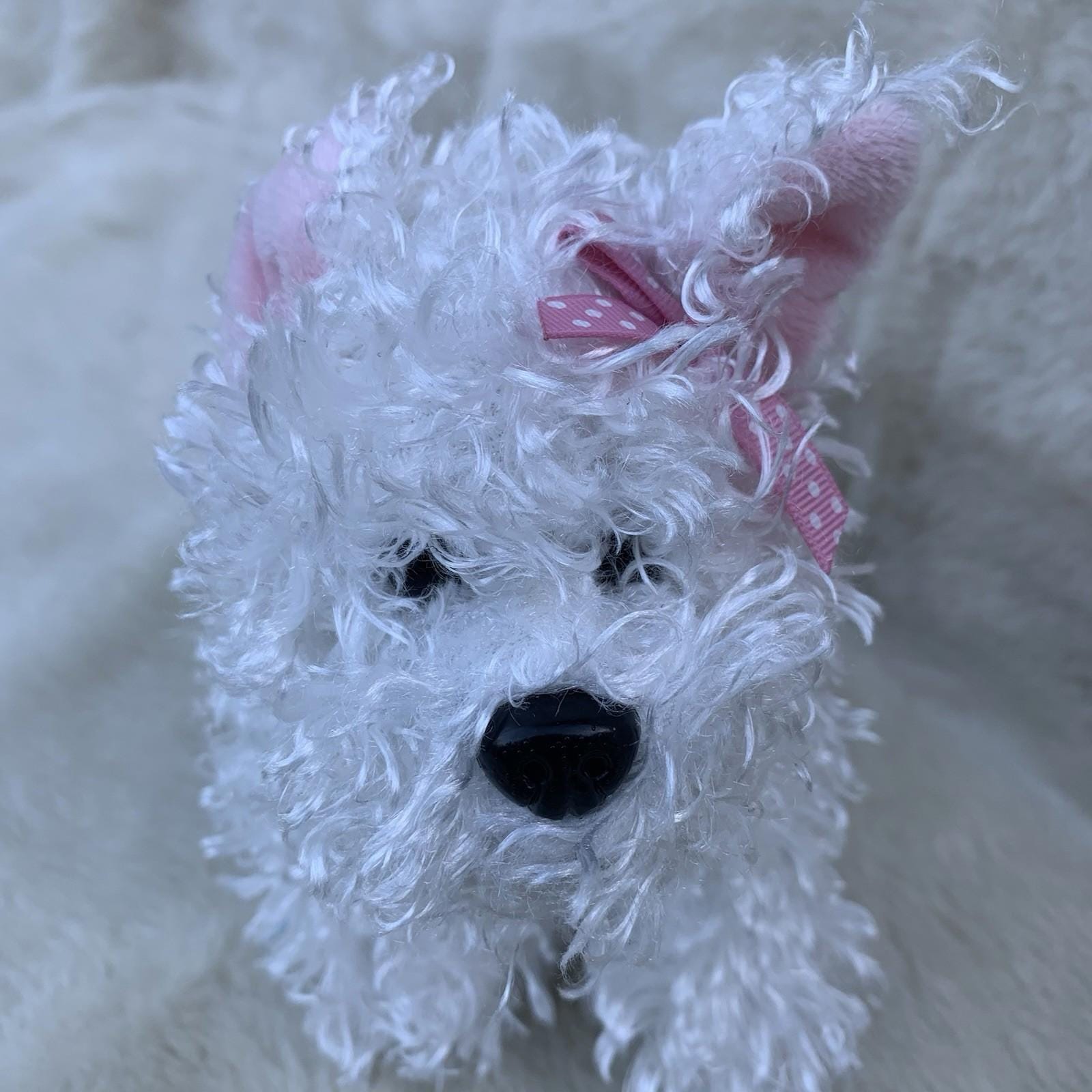 Webkinz Ganz 8