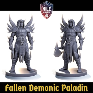 May include: Two gray Fallen Demonic Paladin figurines. Each figure is in a battle stance, wearing armor with skull accents and horned headgear. One holds a battle axe, the other a sword. The text "Fallen Demonic Paladin" is at the bottom.