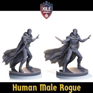 Rogue mâle humain (épée) 28 mm, D&D, Pathfinder, mz4250