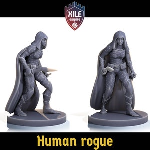 Voleur humain (double arme) 28 mm, D&D, Pathfinder, mz4250
