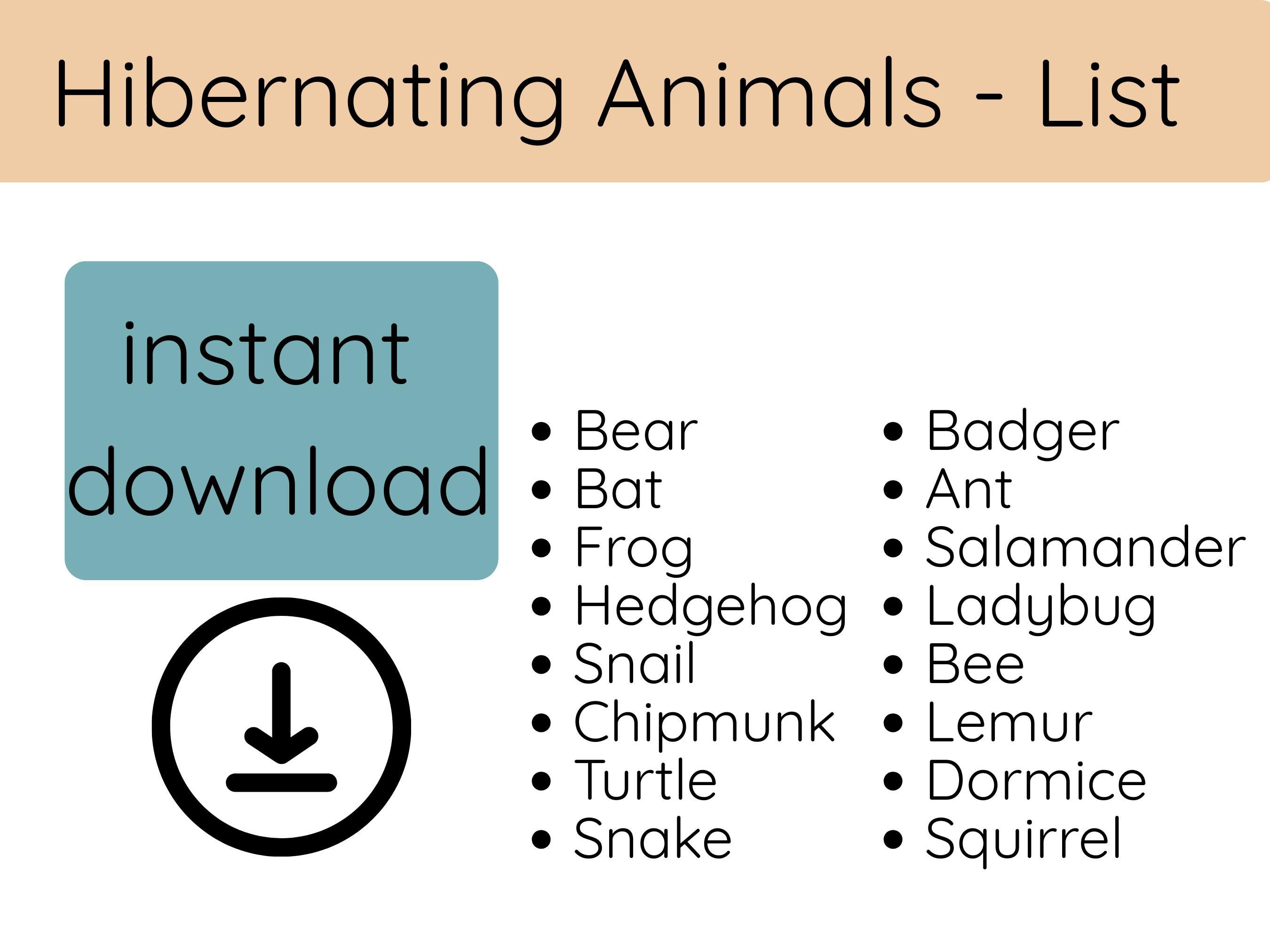 Hibernation Sorting Activity for Kids | Printable Animal Habitats ...