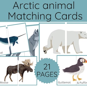May include: Educational matching cards featuring Arctic animals. The cards show a narwhal, wolf, polar bear, moose, and puffin. The text "Arctic animal Matching Cards" is at the top, with "21 PAGES" in the center.