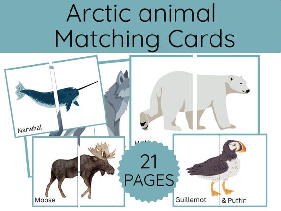 Polar Arctic Animals Matching Cards | 21 Printable Flashcards | Kids Educational Activity | Preschool Activities  | cut and play