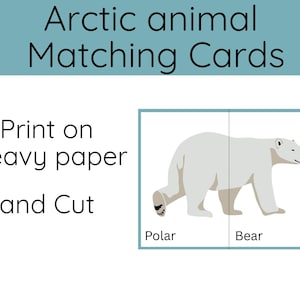 May include: An educational card featuring a polar bear illustration. The card is divided into two sections, labeled "Polar" and "Bear". The text "Arctic animal Matching Cards" is at the top, with instructions to print and cut the cards.