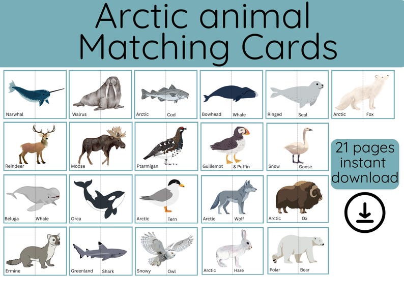May include: A set of Arctic animal matching cards with illustrations of various animals like a narwhal, walrus, and polar bear. The text "Arctic animal Matching Cards" is at the top. The words "21 pages instant download" are also visible.