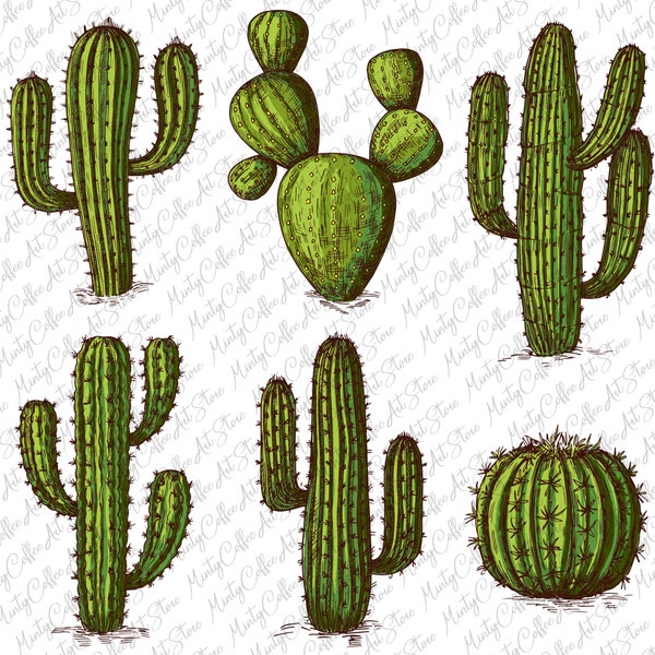 Cactus Png, Cactus Clipart Bundle, Western Cactus Png, Handdrawn Cactus Clipart, Cactus Clipart,Sublimation Design Download,Digital Download