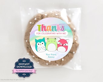 Editable Squishmallow Birthday Thank You Tag, Girl Squishmallow Favor Sticker, Girls Party Gift Favor Label, Squish Theme Birthday, SQ1