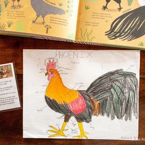 Chicken Unit Study, Backyard Chickens, Homeschool, Homeschool Curriculum, First Grade, Second Grade, Third Grade, Elementary, Fourth Grade