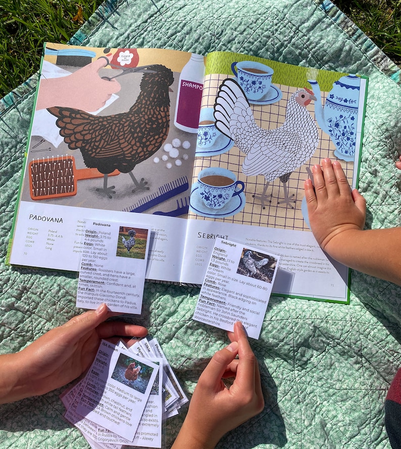May include: Close-up of a book open to two pages featuring illustrations of different chicken breeds. The book pages are titled "Padovana" and "Sebright".  The book is open on a green and white patterned surface.  There are several index cards with information about different chicken breeds.
