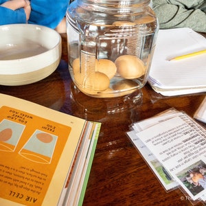May include: A close-up of a glass jar filled with water and three brown eggs. The jar is sitting on a wooden table with a notebook, a bowl, and a book with illustrations of eggs and the text "AIR CELL" and "FRESH EGG".