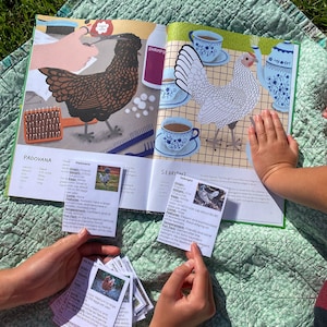 Tarjetas informativas y de vocabulario sobre razas de pollo