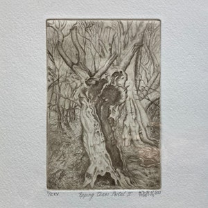 Etching, hand-printed limited edition of 12