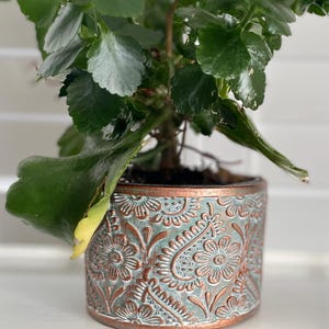 May include: A houseplant in a decorative pot. The pot has a teal and copper finish with an embossed floral and paisley design. The plant has lush green leaves. The pot's design adds a touch of elegance to the plant.