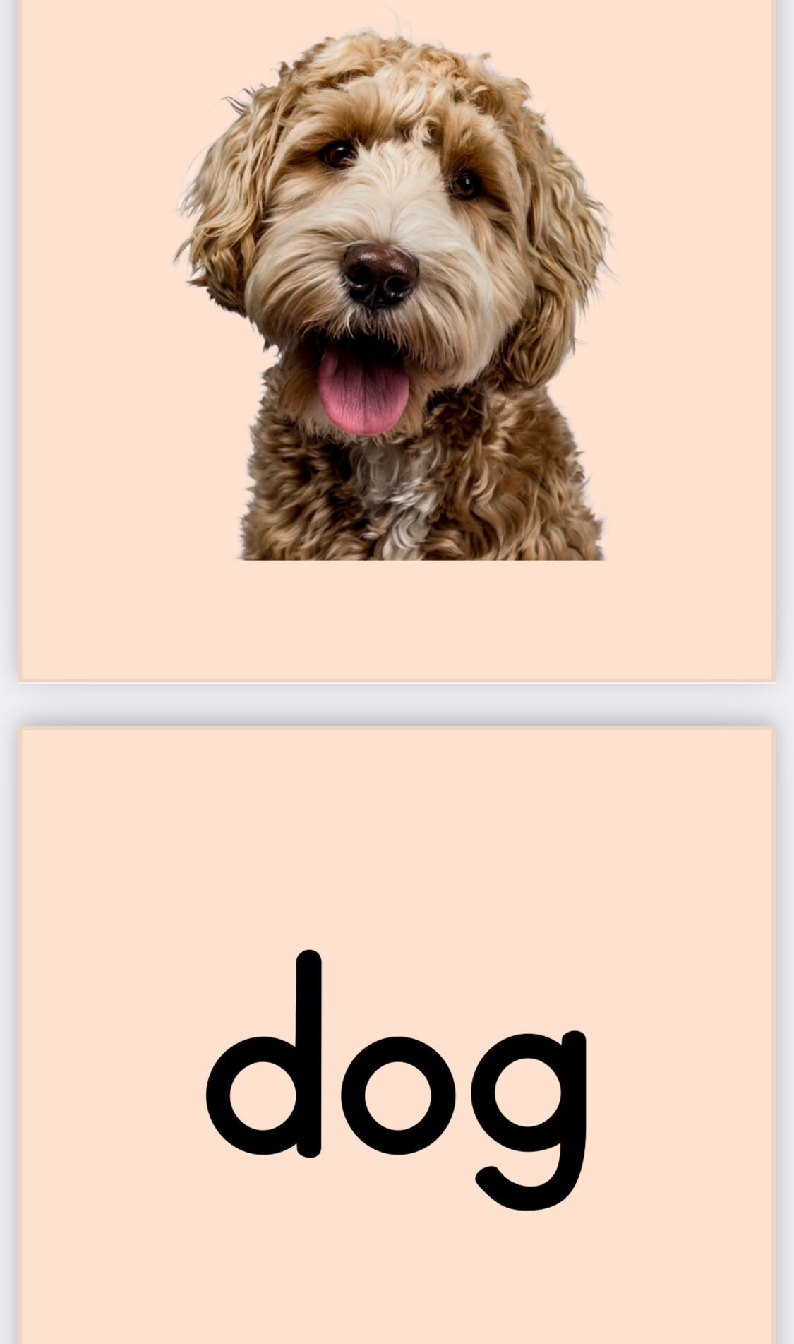 Rhyming Word Flash Cards - Etsy