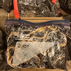 Puede incluir: Bolsa transparente Ziploc llena de tierra oscura y raíces claras. La bolsa tiene una cremallera azul y una etiqueta blanca con la marca Ziploc. Se ven otras bolsas en el fondo.