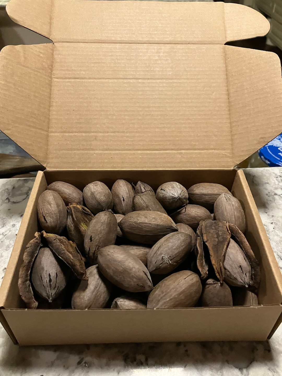 1 Lb of Pecans FREE NUTCRACKER. in Shell Pecans. MS Delta Pecans Free