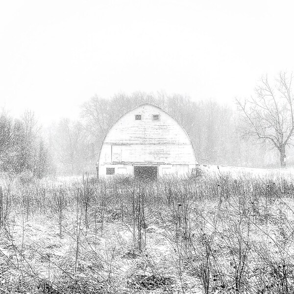 Portrait of an Ohio Barn