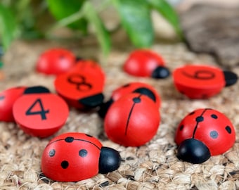 Hand-Painted Eco-Friendly Ladybug Counting Toy for Toddlers & Pre-K Children